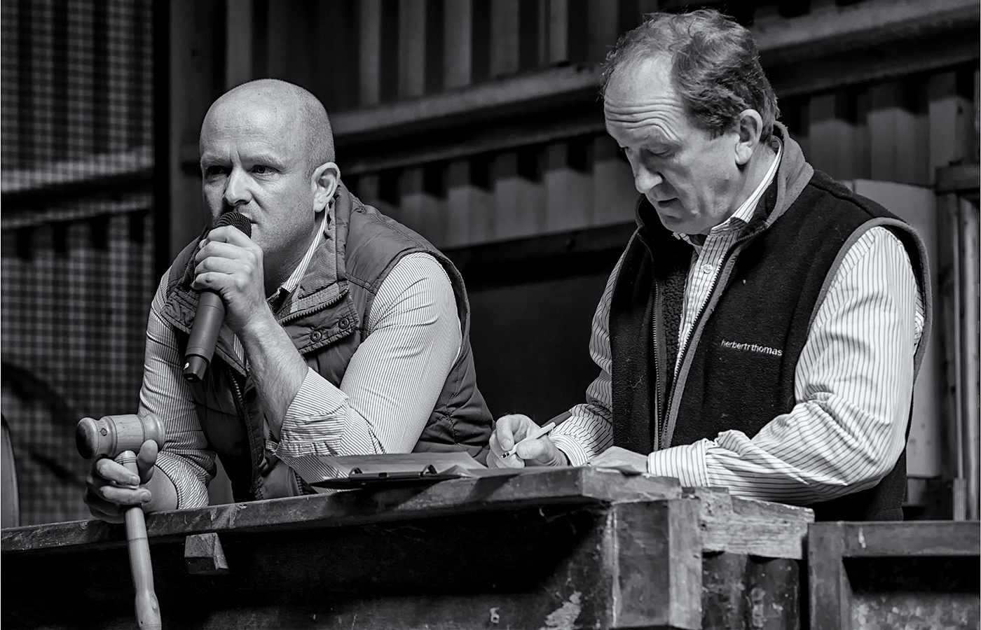 15. The Auctioneers at Penderyn Sheep Market 15. The Auctioneers at Penderyn Sheep Market