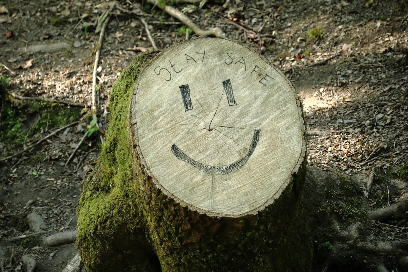 smile-les-davies- smile-les-davies-