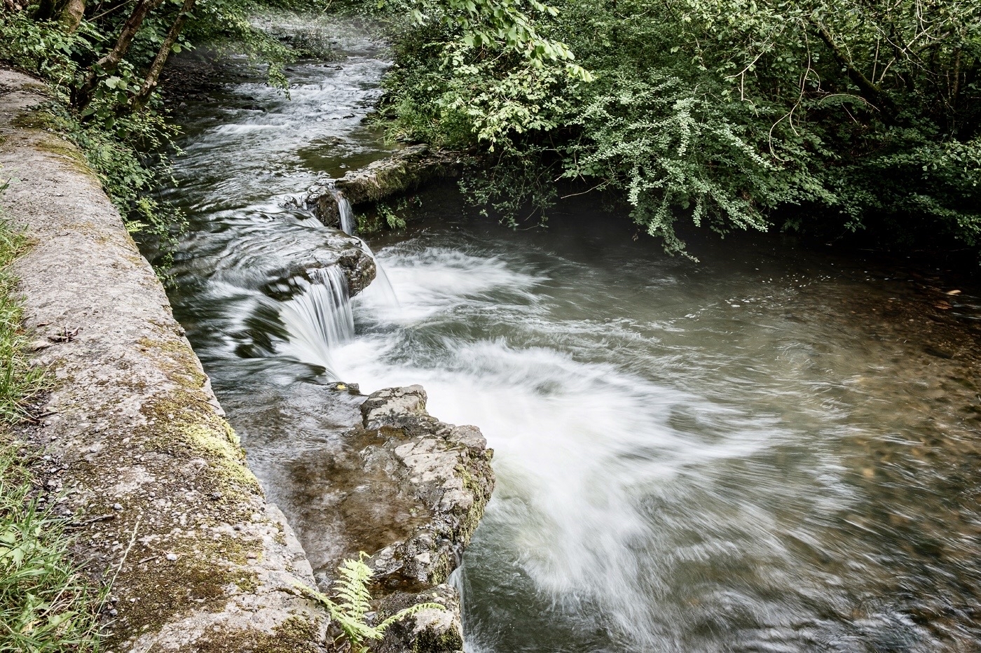 stream-john-white- stream-john-white-