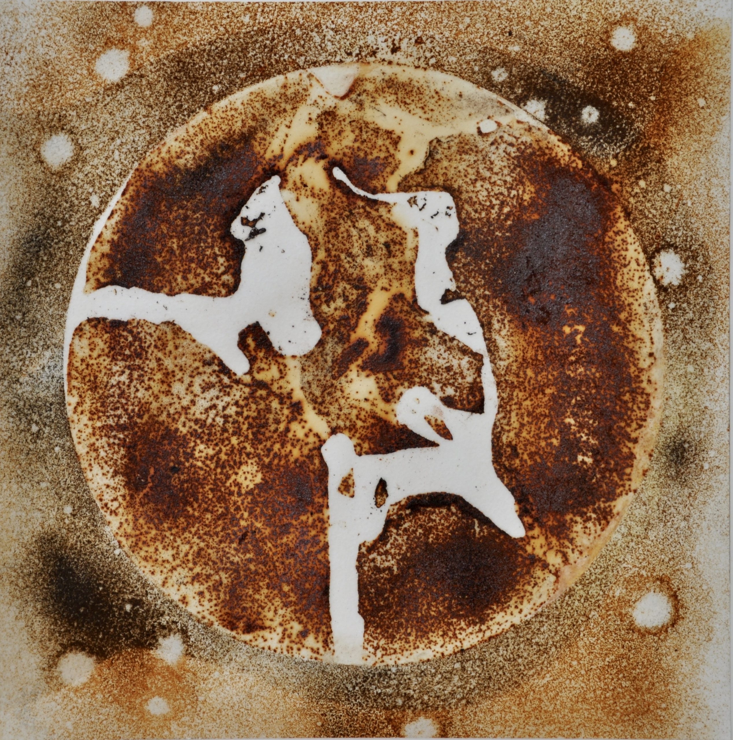 wendy-earle-drawing-with-cast-iron-cast-iron-powder-on-paper-40-x-40 wendy-earle-drawing-with-cast-iron-cast-iron-powder-on-paper-40-x-40
