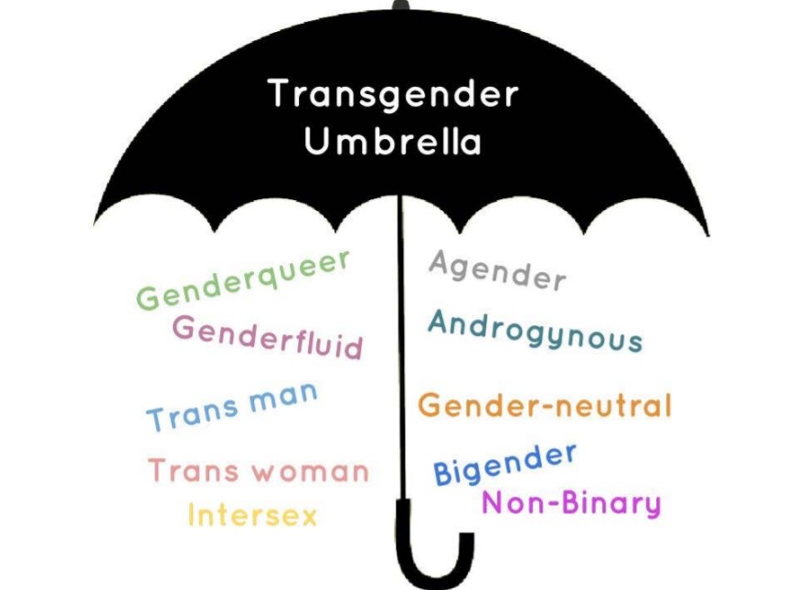 canto Desmantelar delicadeza Transgender Awareness Week - Cynon Valley Museum Trust