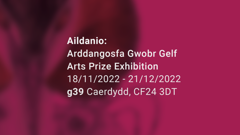 'Aildanio' Disability Arts Cymru Arts Prize Exhibition 2022 - 23