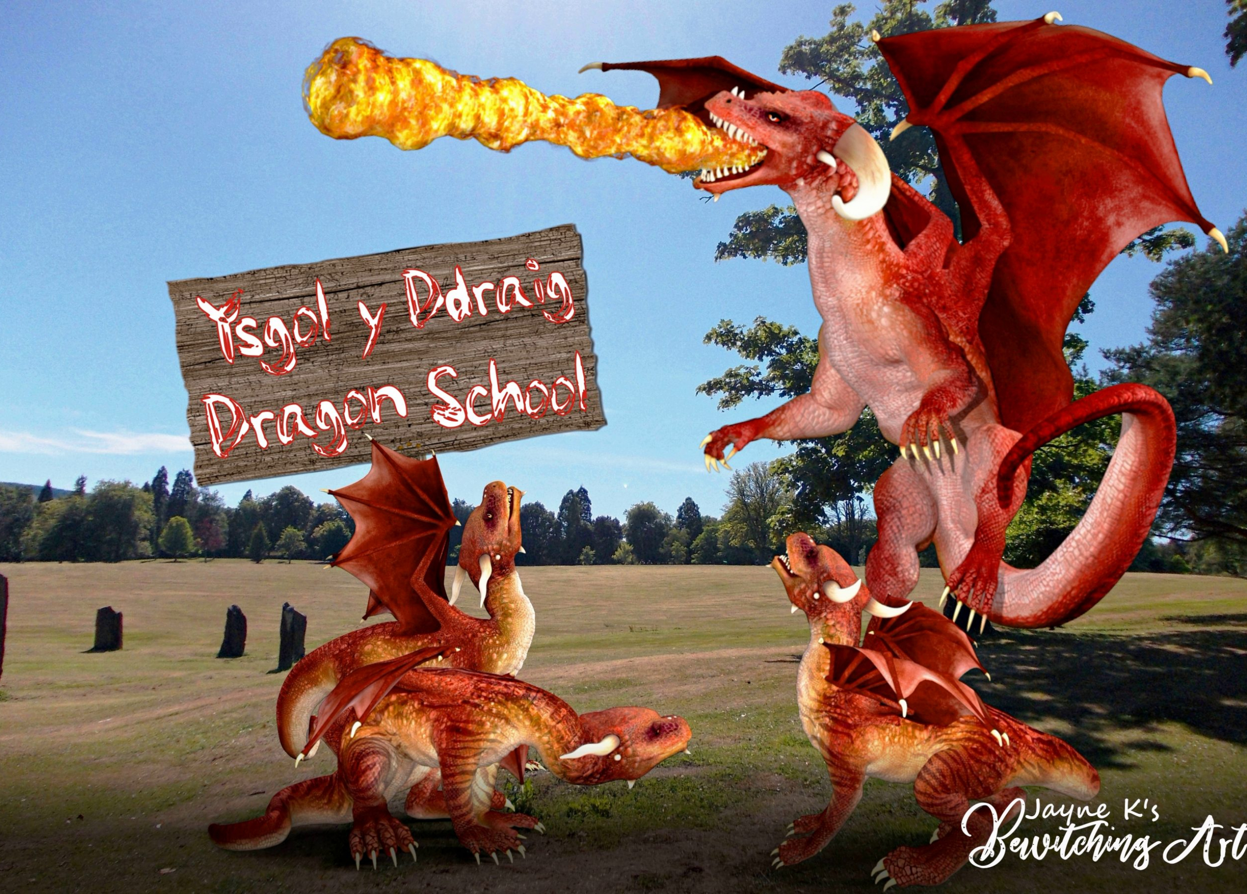11.-aberdare-park-dragon-school