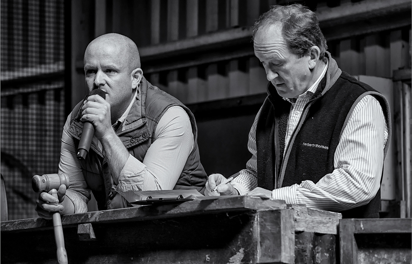 15. The Auctioneers at Penderyn Sheep Market