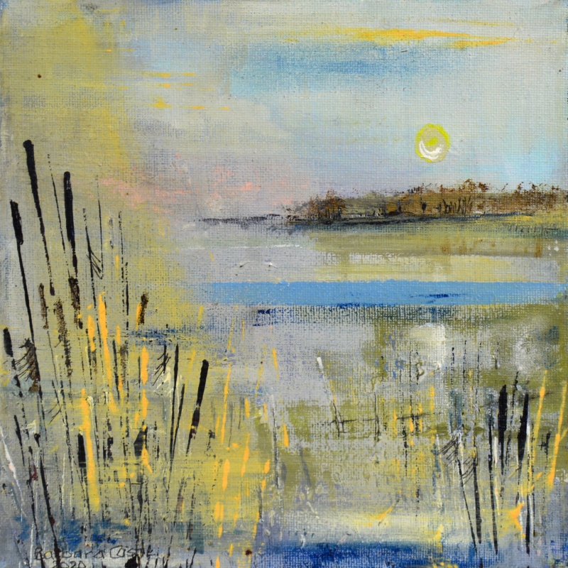 misty-march-barbara-castle