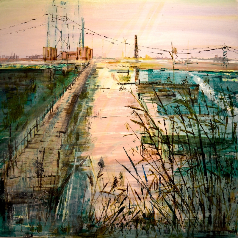 wetlands-barbara-castle